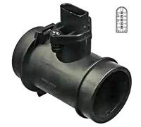 DELPHI Debimetro Aria, Sensore Massa Aria Numero di contatti a spina: 5 12V con alloggiamento AF10285-12B1