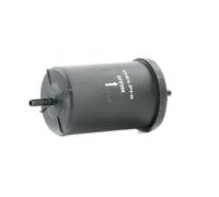 Delphi Filtro carburante EFP204 per condotti/circuiti per Audi, Seat, Skoda, VW