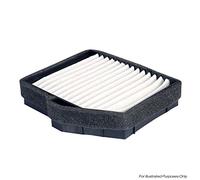 DELPHI EFP218 Filtro carburante Filtro per condotti/circuiti