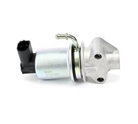 DELPHI EG10290-12B1 Valvola EGR