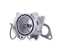 Delphi Valvola EGR EG10421-12B1 per VW Skoda Audi Seat Dodge Jeep senza radiatore
