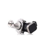 DELPHI EG10431-12B1 Valvola EGR