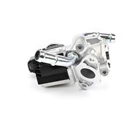 DELPHI EG10438-12B1 Valvola EGR per FORD