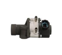 DELPHI EG10456-12B1 Valvola EGR per NISSAN