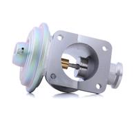 DELPHI EG10464-12B1 Valvola EGR senza radiatore EGR per BMW 3 Sedan (E46)