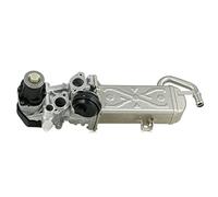 Delphi Valvola EGR EG10472-12B1 per Audi, Seat, Skoda, VW