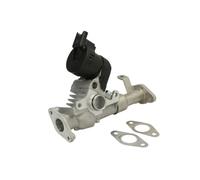 DELPHI EG10488-12B1 Valvola EGR senza radiatore EGR Compatibilità con BMW 3 Sedan E90 1 Hatchback E87 5 Sedan E60 3 Touring E91 3 Coupe E92