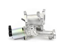 DELPHI EG10497-12B1 Valvola EGR