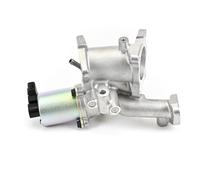 DELPHI EG10497-12B1 Valvola EGR senza radiatore-EGR per OPEL Meriva A (X03)