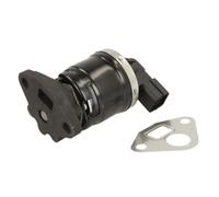 Delphi Valvola EGR EG10505-12B1 aria secondaria senza radiatore per Honda Jazz II