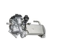 DELPHI EG10584-12B1 Valvola EGR con radiatore-EGR per AUDI A4 Avant (8K5, B8)