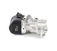 DELPHI EG10591-12B1 Valvola EGR senza radiatore EGR per FORD Focus II Hatchback