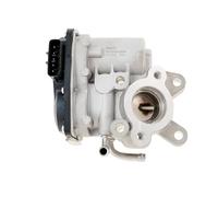 DELPHI EG10636-12B1 Valvola EGR