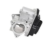 DELPHI EG10743-12B1 Valvola EGR