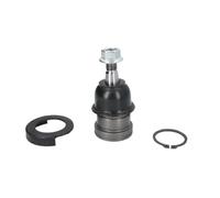Delphi Giunto portante TC3645