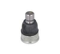 Delphi Giunto portante TC3655