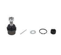 Delphi Giunto portante TC3665