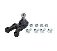 Delphi Giunto portante TC3667
