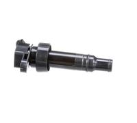 DELPHI Bobina d'accensione 12V Sistema Di Accensione GN10634-12B1 Compatibilità con KIA SPORTAGE SL, HYUNDAI Tucson TL, TLE