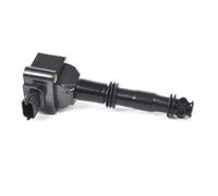 DELPHI GN10949-12B1 Bobina d'accensione