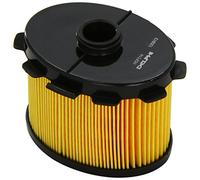 Delphi Filtro carburante HDF514 – Cartuccia per Citroën, Toyota, Peugeot, Fiat