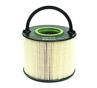 Delphi Filtro carburante HDF616 per Audi, VW, Porsche (compatibile con Audi Q7 4LB 2006-2008)