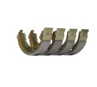 DELPHI LS2118 Ganasce freno a mano per SSANGYONG Rexton / Rexton II (GAB) RODIUS