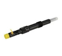 DELPHI R00501Z Supporto polverizzatore