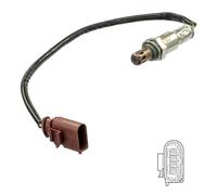 DELPHI Sonda lambda ES21187-12B1 riscaldato davanti al catalizzatore 440mm Compatibilità con VW Golf 5 Hatchback 1K1 GOLF PLUS 5M1, 521, AUDI A3 Sportback 8PA A3 Hatchback 8P1, SEAT Leon Hatchback 1P1