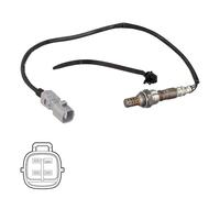 Delphi Sonda lambda ES21261-12B1 planare riscaldata 570 mm per Toyota C-HR/Auris