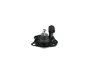 DELPHI Supporto motore Anteriore Compatibilità con RENAULT Scénic 1 JA0/1, FA0 TEM039