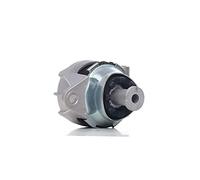 Delphi Supporto motore posteriore TEM090 per Opel Astra H e Zafira A/B