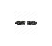 DELPHI TBR4134 Kit soffietto, Sterzo