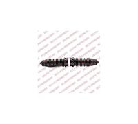 Delphi TBR4225 Kit soffietto