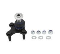 DELPHI TC1732 Testina braccio oscillante Compatibilità con VW Golf VII Hatchback 5G1, BQ1, BE1, BE2 TIGUAN 5N T-Roc A11 Golf VIII Hatchback CD1 TIGUAN AD1 Passat Variant 3C5