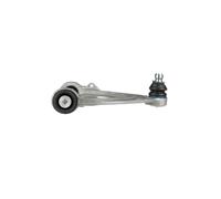 DELPHI TC3889 Braccio oscillante, sospensione ruota