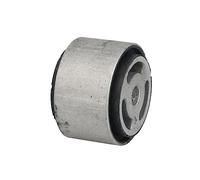 DELPHI TD1010W Supporto assale Supporto Assale Supporto corpo assiale Silent block ponte