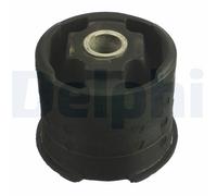 Delphi Supporto assale TD1060W per BMW X5 E53 3.0d/3.0i