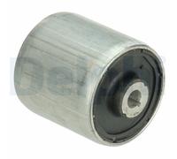 DELPHI TD1638W Supporto, Braccio oscillante per BMW