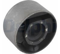 DELPHI TD344W Supporto, Braccio oscillante per BMW