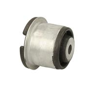 DELPHI TD543W Supporto assale Supporto Assale Supporto corpo assiale Silent block ponte