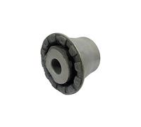 DELPHI TD688W Supporto assale Supporto Assale Supporto corpo assiale Silent block ponte