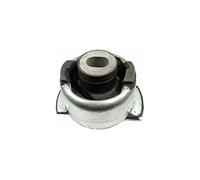DELPHI TD691W Supporto assale Posteriore Sx Supporto Assale Supporto corpo assiale Silent block ponte