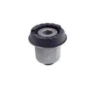 DELPHI TD803W Supporto assale Supporto Assale Supporto corpo assiale Silent block ponte
