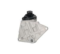 DELPHI EG10424-12B1 Valvola EGR