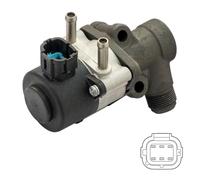 Delphi Technologies EG10456-12B1 Valvola EGR