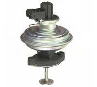 DELPHI EG10467-12B1 Valvola EGR senza radiatore-EGR per BMW 3 Limousine (E90)