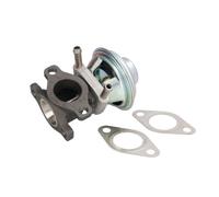 Delphi Technologies EG10476-12B1 Valvola EGR