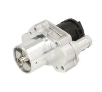 Delphi Technologies EG10486-12B1 Valvola EGR