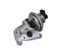 DELPHI EG10625-12B1 Valvola EGR